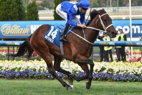 Article image for Will Winx retire? Chris Waller all but confirms the mighty mare’s future