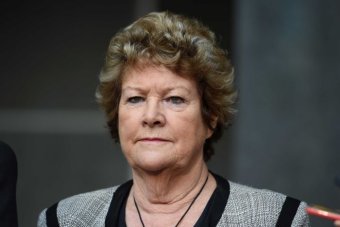 NSW Health Minister Jillian Skinner quits politics