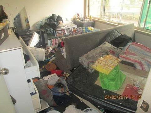 Article image for Trashed Public Housing