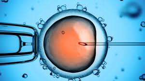 The future of IVF