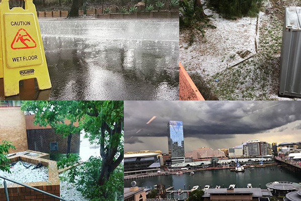 Article image for Hailstorm sweeps across Sydney