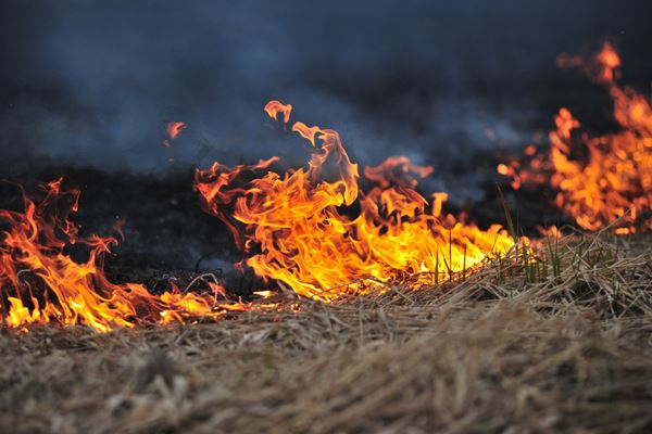 Article image for Residents urged to have fire plan ready ahead of extreme temperatures