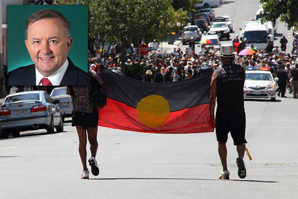 Article image for Anthony Albanese calls for twin referendum next Australia Day