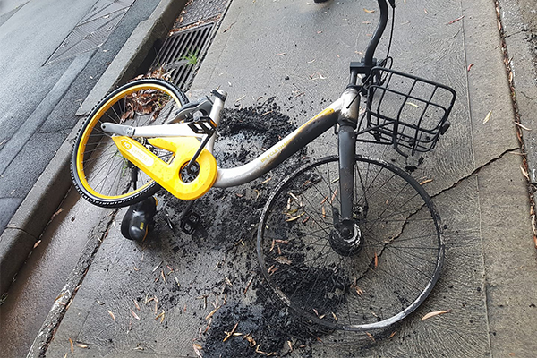 Article image for Security expert says share bikes could be used as bombs