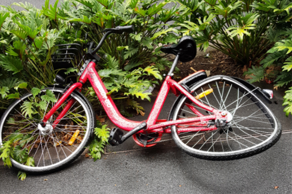 oBike-bush