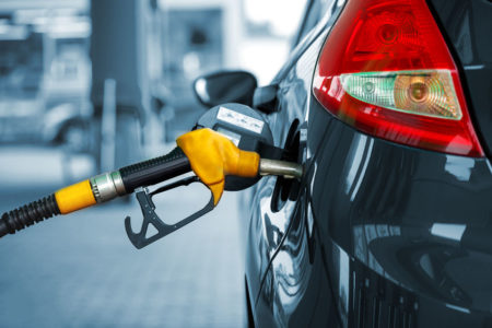A 50% cut in fuel excise is essential: Senator Rex Patrick