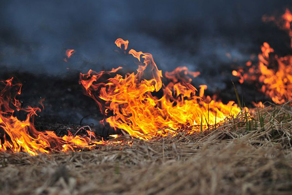 Article image for NSW on alert: Total fire bans issued across the state