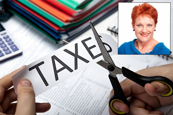 Article image for One Nation won’t back proposed company tax cuts