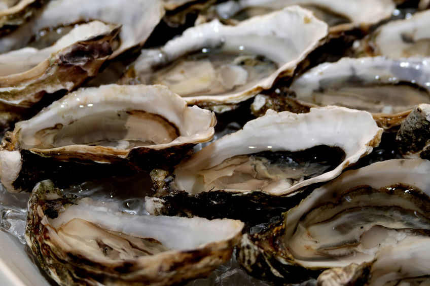 Devastating oyster virus identified in SA 2GB