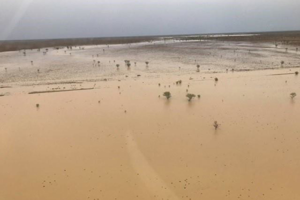 Article image for QLD farmers get a drenching, Hunter Valley drought worsens