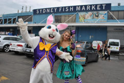 Easter seafood bonanza underway at Sydney Fish Market