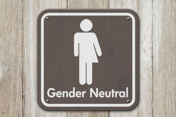 Article image for Move for gender-neutral birth certificates slammed as ‘lefty lunacy’
