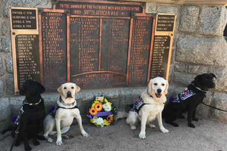 Dogs trained by inmates lead Anzac Day march