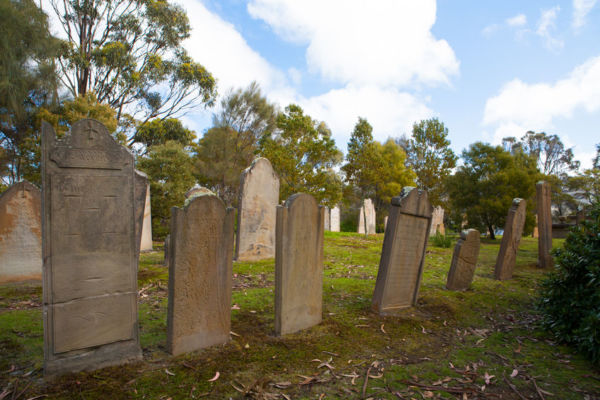 Article image for Sydney cemeteries desperate as space is running out