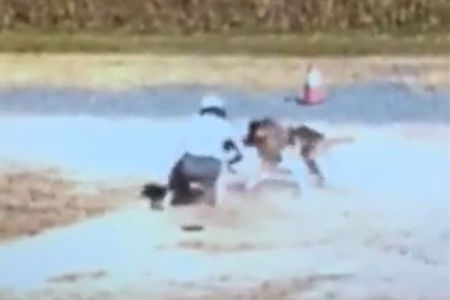 WATCH | Woman desperately wrestles to save her dog’s life