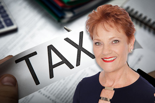 Article image for One Nation tension isn’t because of company tax cuts, Liberal Democrats Senator says