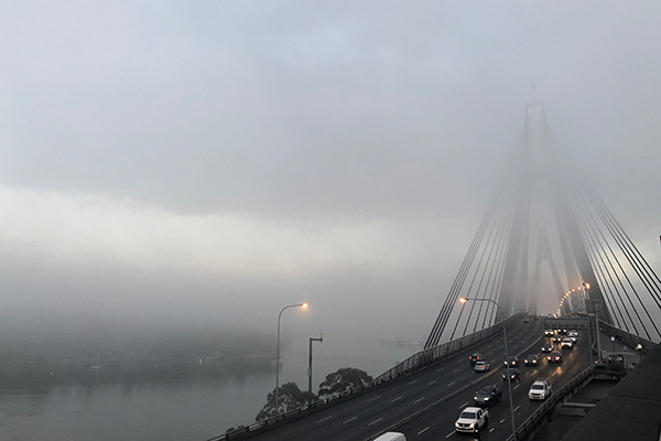 Article image for Thick fog covers Sydney, cancels flights and ferries