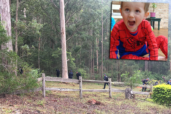 Article image for Police scouring bushland in fresh William Tyrrell ‘forensic search’