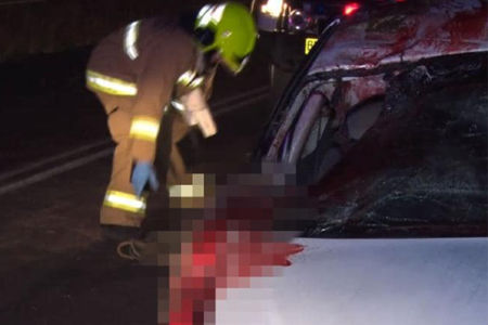 Mother of kangaroo crash victim calls for change after another freak accident