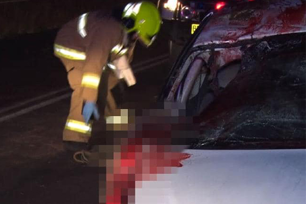 Article image for Mother of kangaroo crash victim calls for change after another freak accident