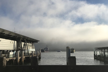 Sydney fog: Ferries and flights cancelled