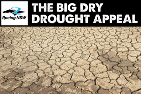 Racing NSW makes huge donation to #TheBigDry drought appeal