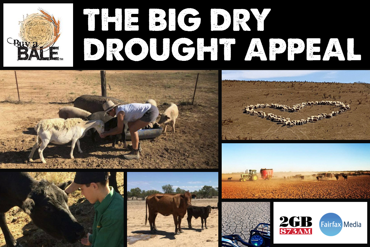 Article image for The Big Dry Drought Appeal