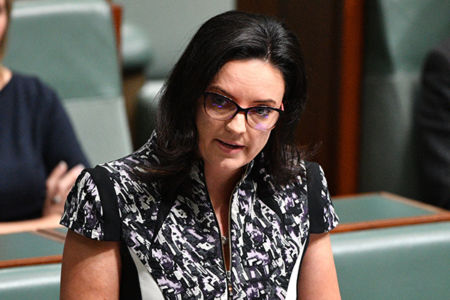 Former Labor MP rips into ‘tone deaf’ Opposition leader as ‘Mean Girls’ claims ramp up