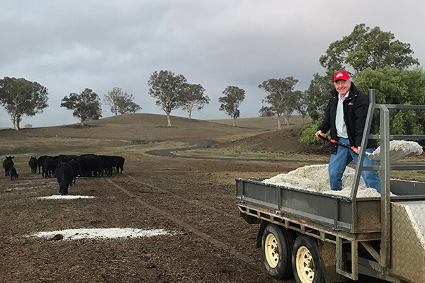 Article image for ‘I don’t know what to do’: Farmer can’t stand watching his cattle starve to death