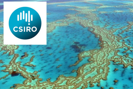 ‘It doesn’t pass the test’: CSIRO would ‘absolutely’ have applied for $444-million reef grant