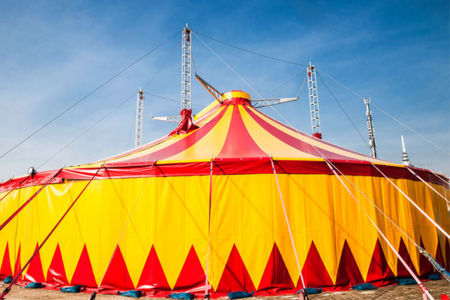 Activist groups leave an Australian circus fighting for its future