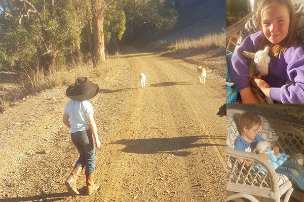 Article image for City family who moved to the bush determined to outlast Australia’s worst drought