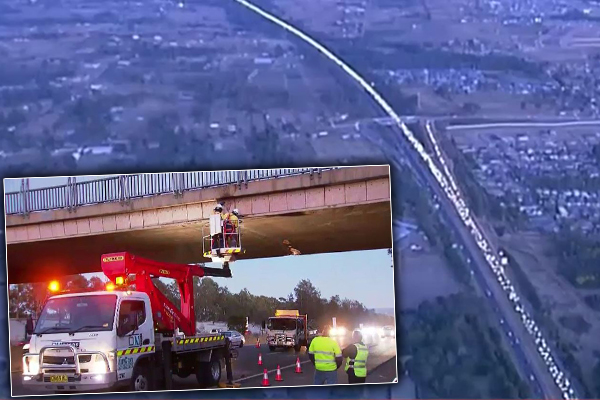 Article image for ‘It’s not good enough’: Police furious after overheight truck causes chaos on the M4