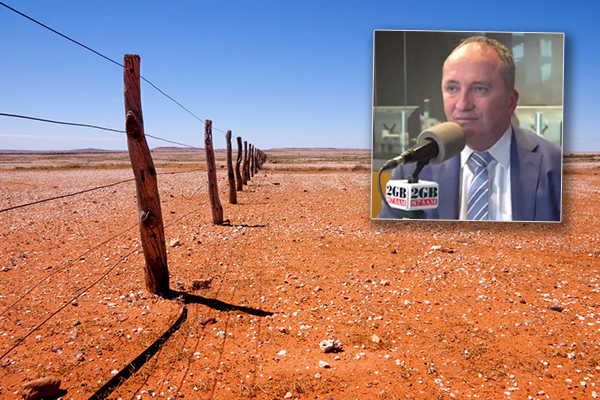Article image for Barnaby Joyce calling for the drought to be treated like a ‘national emergency’