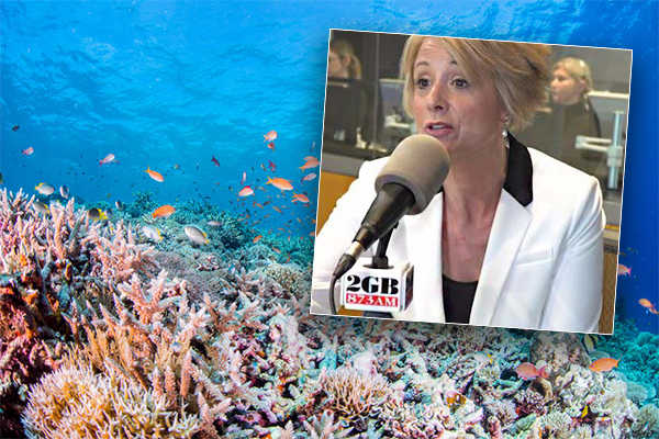 Article image for Major Australian retailer distances itself from Great Barrier Reef Foundation
