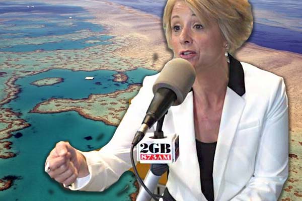 Article image for ‘We’re running out of patience here’: Labor demands answers to ‘outrageous’ reef grant