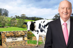 Alan Jones promises to milk a cow… on one condition