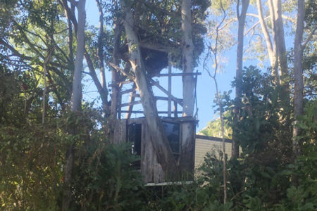Family fight to save beloved treehouse from energy provider