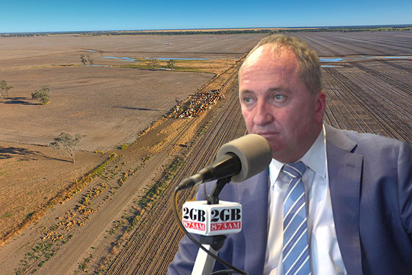 Article image for Barnaby Joyce: Farmers facing too much red tape to get relief