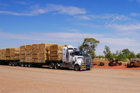RMS officials ‘targeted’ trucks carrying hay to drought-stricken farmers