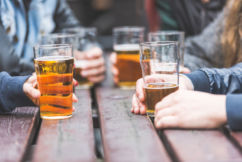 Queensland pub misses Palaszczuk’s beer, powers on