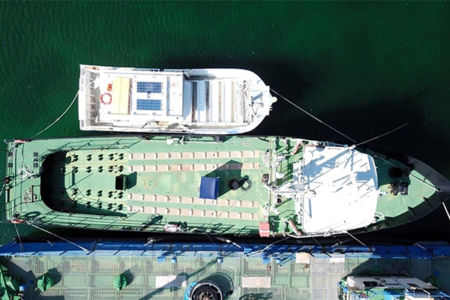 ‘Australia must stand on its own two feet’ – Chris Kenny warns against reliance on global allies