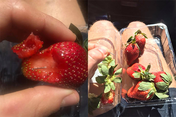 Article image for Needles found in punnet of strawberries