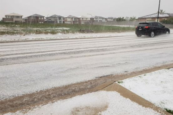 Article image for Sydney lashed by hail and heavy rain