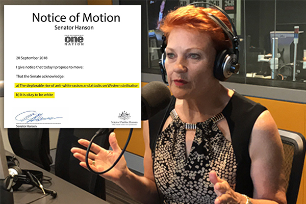 Article image for ‘It’s slowly creeping in’: Pauline Hanson calls for action on rise in ‘anti-white racism’