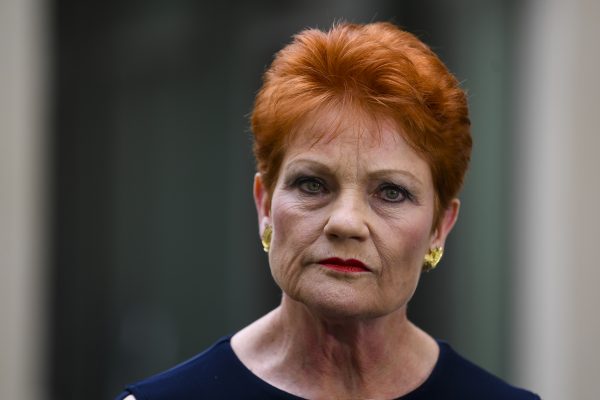 Article image for ‘I wouldn’t trust him’: Pauline Hanson ‘furious’ over Turnbull’s trip to Bali