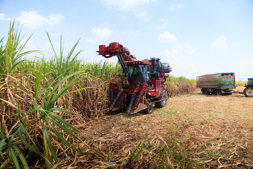 Article image for ‘They’ve done nothing, nada, zip’: Keith Pitt on QLD Government’s refusal to help sugarcane farmers