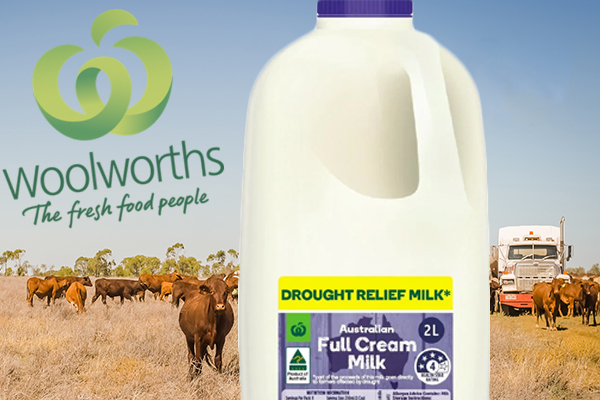 Article image for Woolworths CEO promises to pay more for milk if processors play ball