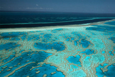 Boost for Great Barrier Reef Farmers