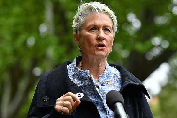 Article image for Kerryn Phelps ‘not surprised’ by Turnbull’s Wentworth absence